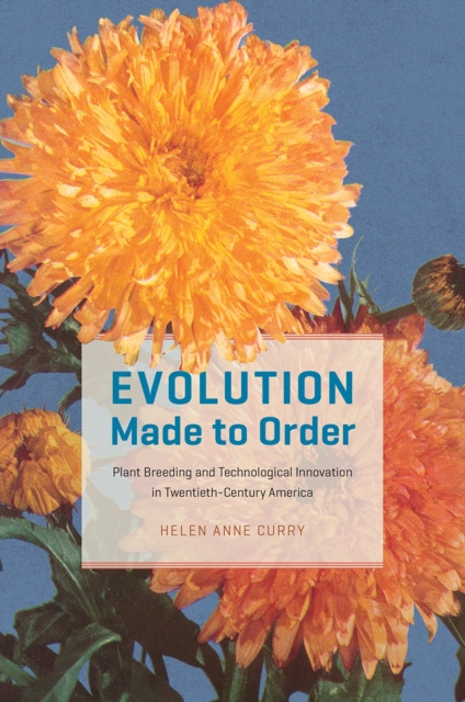 Evolution Made to Order : Plant Breeding and Technological Innovation in Twentieth-Century America, Hardback Book
