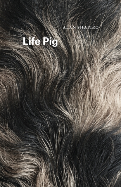 Life Pig, Paperback / softback Book