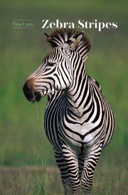 Zebra Stripes, Hardback Book
