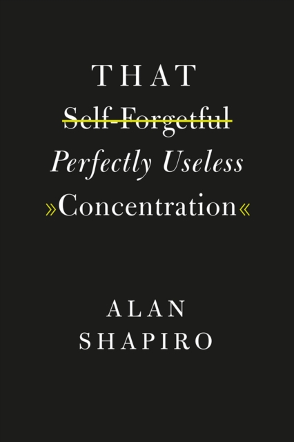 That Self-Forgetful Perfectly Useless Concentration, Paperback / softback Book