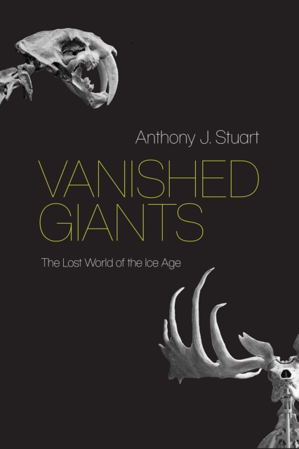 Vanished Giants : The Lost World of the Ice Age, Hardback Book