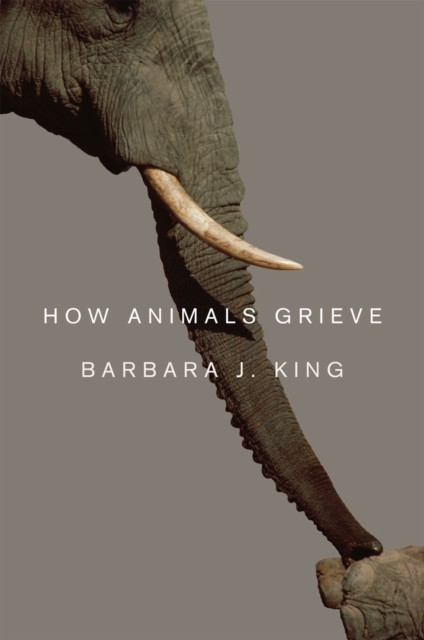 How Animals Grieve, Hardback Book