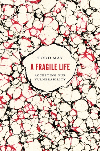 A Fragile Life : Accepting Our Vulnerability, Hardback Book