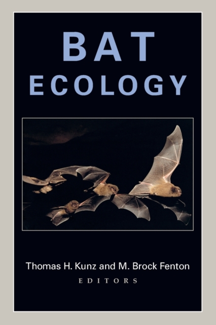 Bat Ecology, Paperback / softback Book