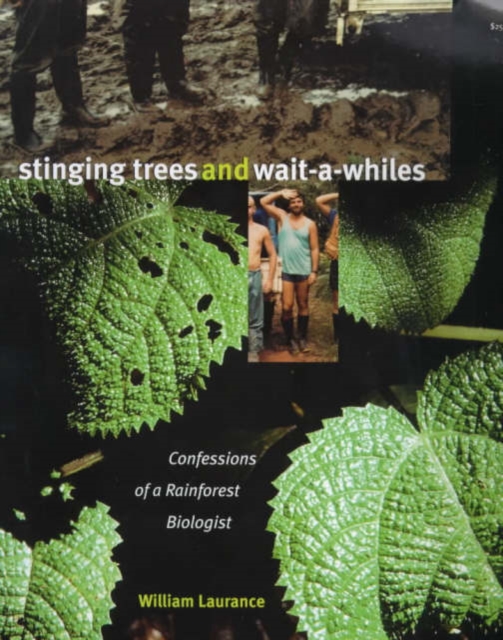 Stinging Trees and Wait-a-Whiles : Confessions of a Rainforest Biologist, Hardback Book