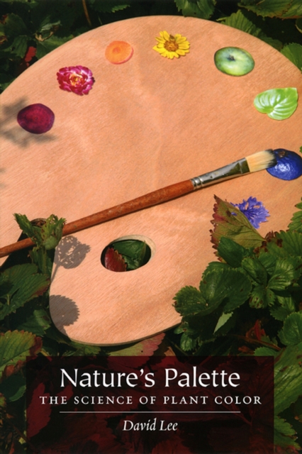 Nature's Palette, Paperback / softback Book