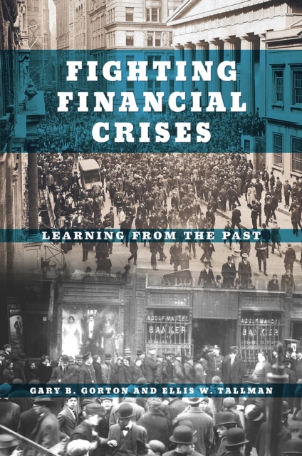 Fighting Financial Crises : Learning from the Past, Hardback Book