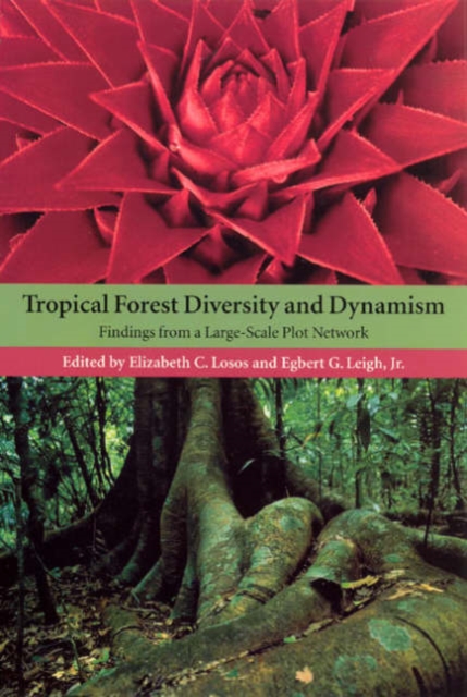 Tropical Forest Diversity and Dynamism : Findings from a Large-Scale Plot Network, Paperback / softback Book