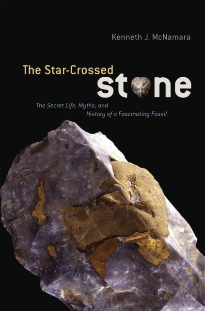 The Star-Crossed Stone : The Secret Life, Myths, and History of a Fascinating Fossil, Hardback Book