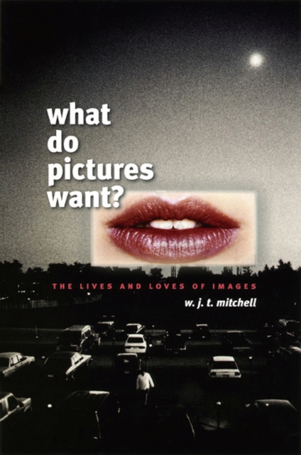 What Do Pictures Want? : The Lives and Loves of Images, Paperback / softback Book