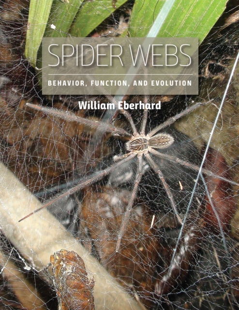 Spider Webs : Behavior, Function, and Evolution, Hardback Book