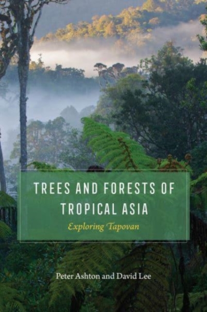 Trees and Forests of Tropical Asia : Exploring Tapovan, Paperback / softback Book