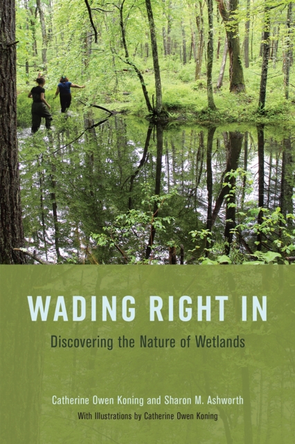 Wading Right in : Discovering the Nature of Wetlands, Paperback / softback Book