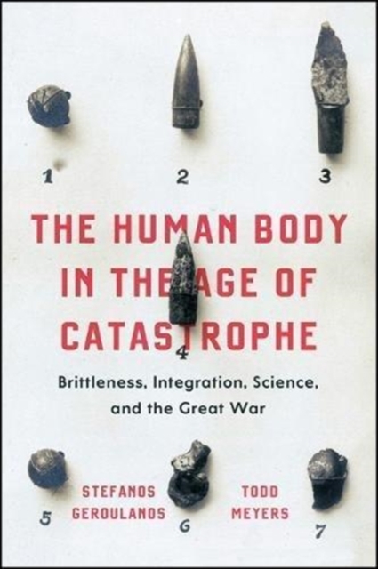 The Human Body in the Age of Catastrophe : Brittleness, Integration, Science, and the Great War, Paperback / softback Book