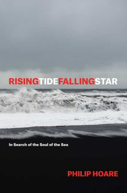 Risingtidefallingstar : In Search of the Soul of the Sea, Paperback / softback Book