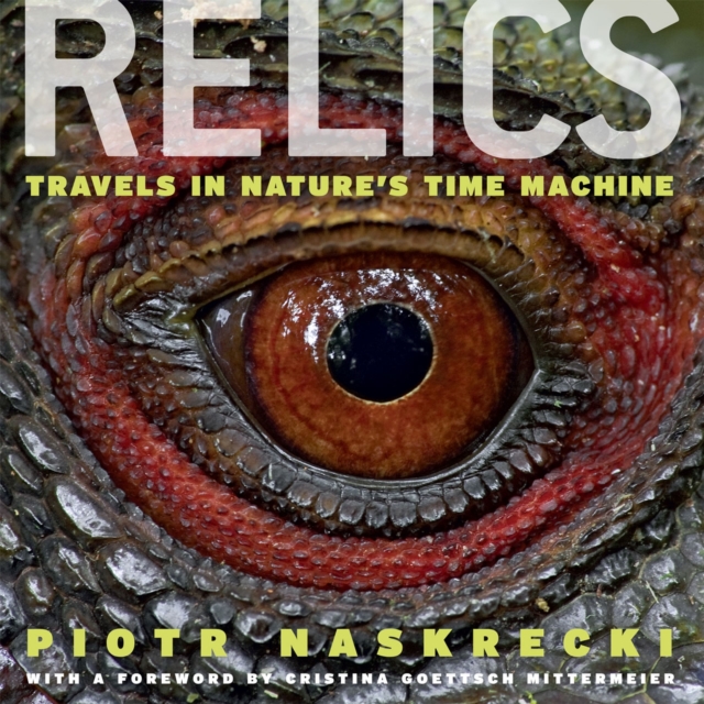Relics : Travels in Nature's Time Machine, Hardback Book