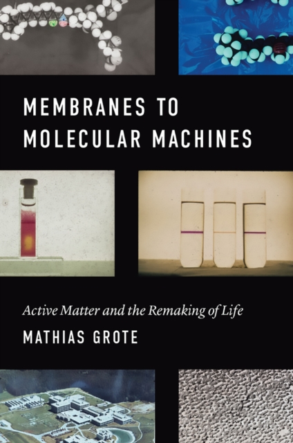 Membranes to Molecular Machines : Active Matter and the Remaking of Life, Hardback Book