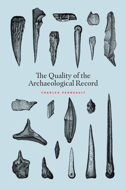 The Quality of the Archaeological Record, Paperback / softback Book