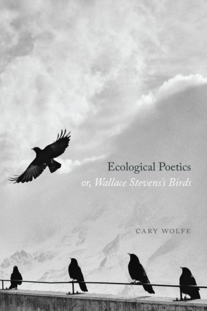 Ecological Poetics; or, Wallace Stevens's Birds, Hardback Book