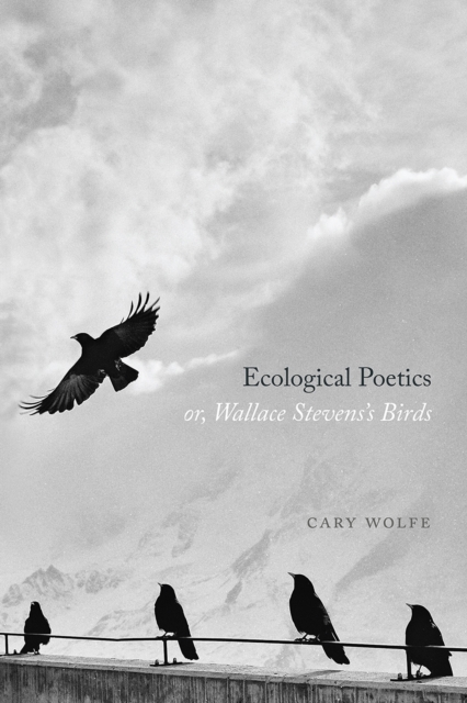 Ecological Poetics; or, Wallace Stevens's Birds, Paperback / softback Book