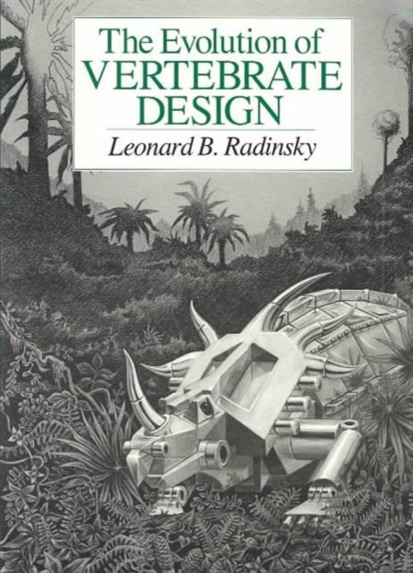 Evolution of Vertebrate Design, Paperback / softback Book