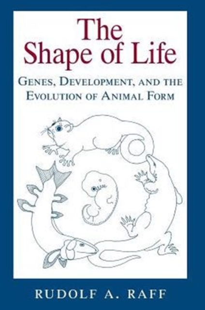 The Shape of Life : Genes, Development, and the Evolution of Animal Form, Paperback / softback Book