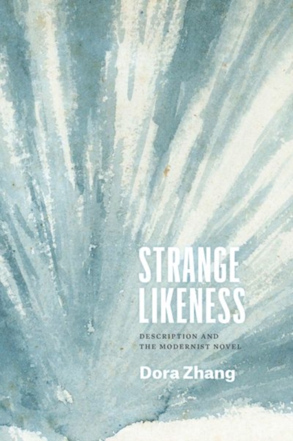 Strange Likeness : Description and the Modernist Novel, Hardback Book