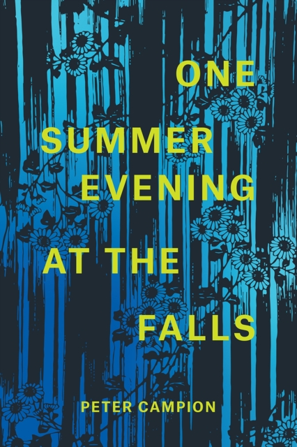 One Summer Evening at the Falls, Paperback / softback Book
