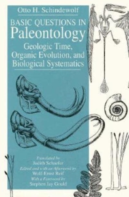 Basic Questions in Paleontology : Geologic Time, Organic Evolution, and Biological Systematics, Paperback / softback Book