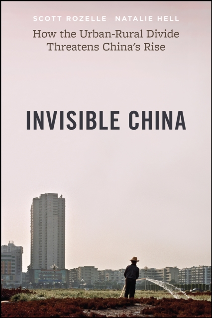 The Invisible China : How the Urban-Rural Divide Threatens China's Rise, Hardback Book