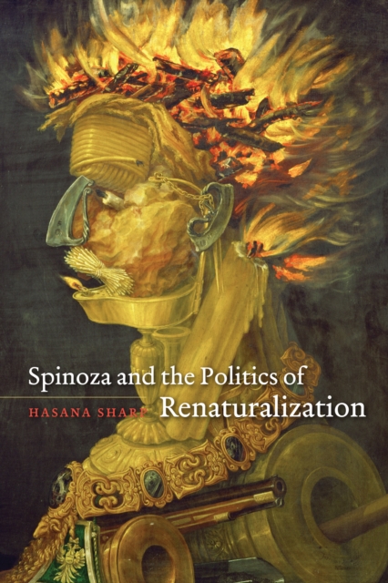 Spinoza and the Politics of Renaturalization, EPUB eBook