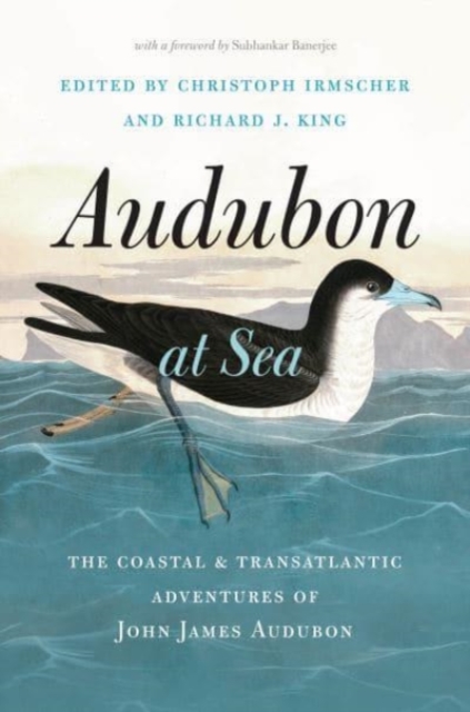 Audubon at Sea : The Coastal and Transatlantic Adventures of John James Audubon, Hardback Book