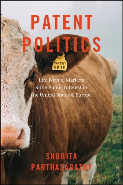 Patent Politics : Life Forms, Markets, and the Public Interest in the United States and Europe, Paperback / softback Book