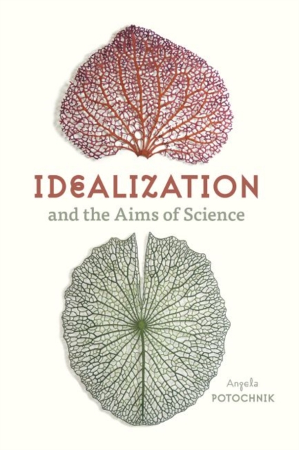 Idealization and the Aims of Science, Paperback / softback Book