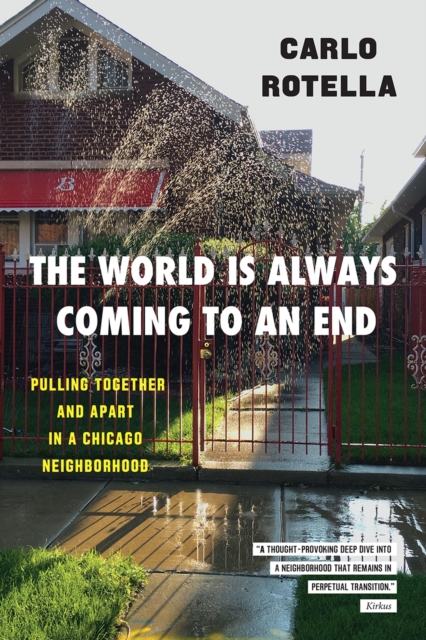 The World Is Always Coming to an End : Pulling Together and Apart in a Chicago Neighborhood, Paperback / softback Book