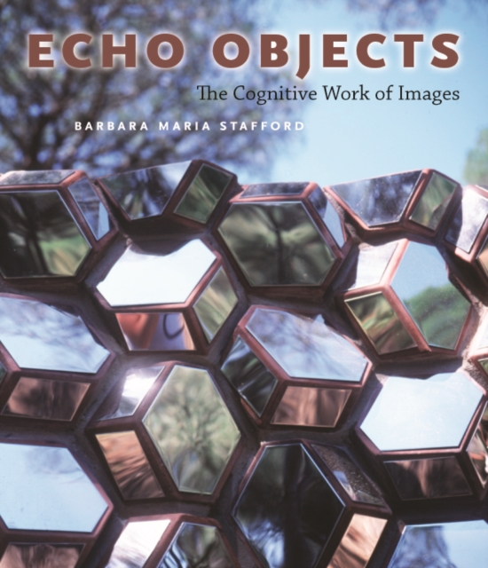 Echo Objects : The Cognitive Work of Images, Paperback / softback Book