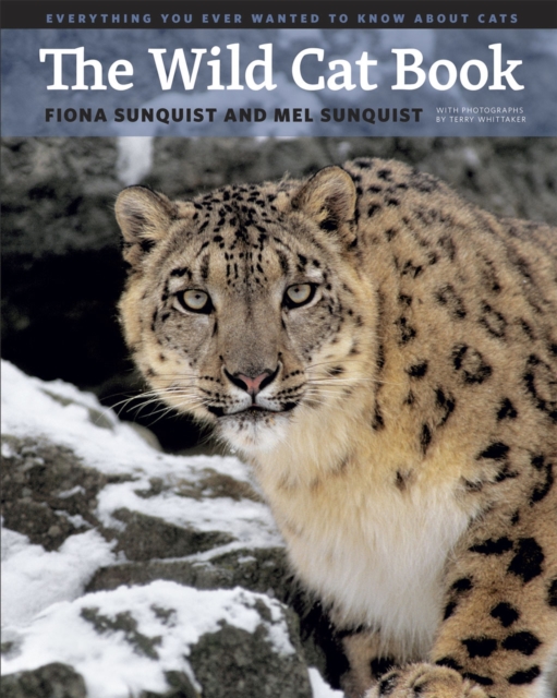 The Wild Cat Book : Everything You Ever Wanted to Know about Cats, Hardback Book