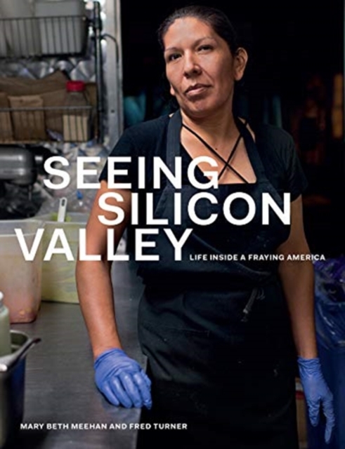 Seeing Silicon Valley : Life Inside a Fraying America, Paperback / softback Book