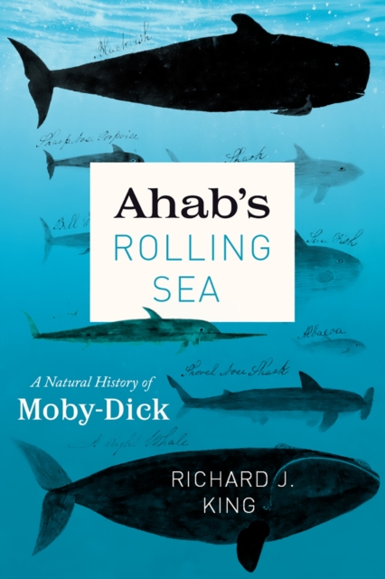 Ahab's Rolling Sea : A Natural History of Moby-Dick, Paperback / softback Book