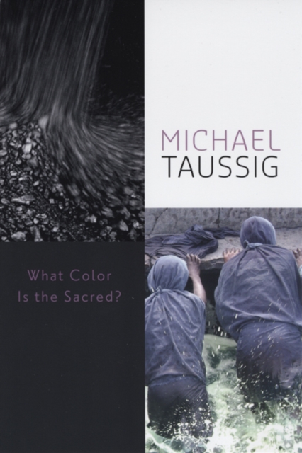 What Color Is the Sacred?, Hardback Book