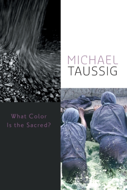 What Color Is the Sacred?, Paperback / softback Book