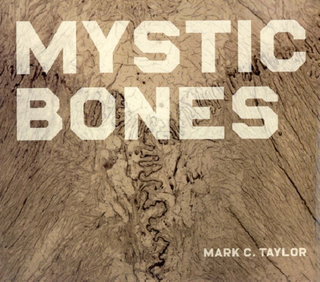 Mystic Bones, Hardback Book
