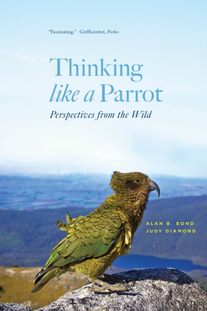 Thinking like a Parrot : Perspectives from the Wild, Paperback / softback Book