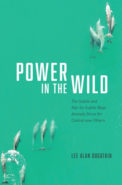 Power in the Wild : The Subtle and Not-So-Subtle Ways Animals Strive for Control over Others, Hardback Book