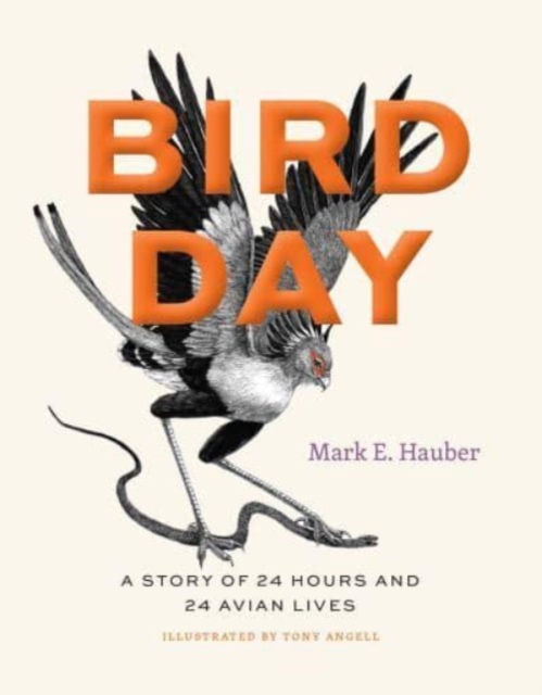 Bird Day : A Story of 24 Hours and 24 Avian Lives, Hardback Book