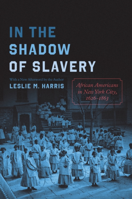 In the Shadow of Slavery : African Americans in New York City, 1626-1863, EPUB eBook
