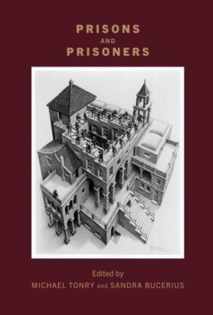 Crime and Justice, Volume 51 : Prisons and Prisoners Volume 51, Paperback / softback Book