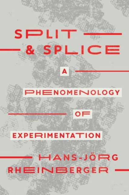 Split and Splice : A Phenomenology of Experimentation, Hardback Book
