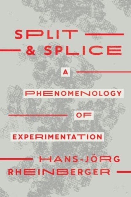 Split and Splice : A Phenomenology of Experimentation, Paperback / softback Book