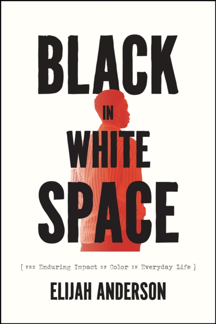 Black in White Space : The Enduring Impact of Color in Everyday Life, Paperback / softback Book